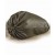 US Military Waterproof Alice Backpack Liner Bag